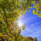 Image for article titled 48 Photos Of Autumn Around The World